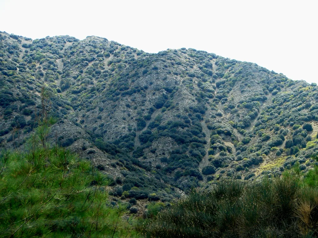 Agios Theodoros