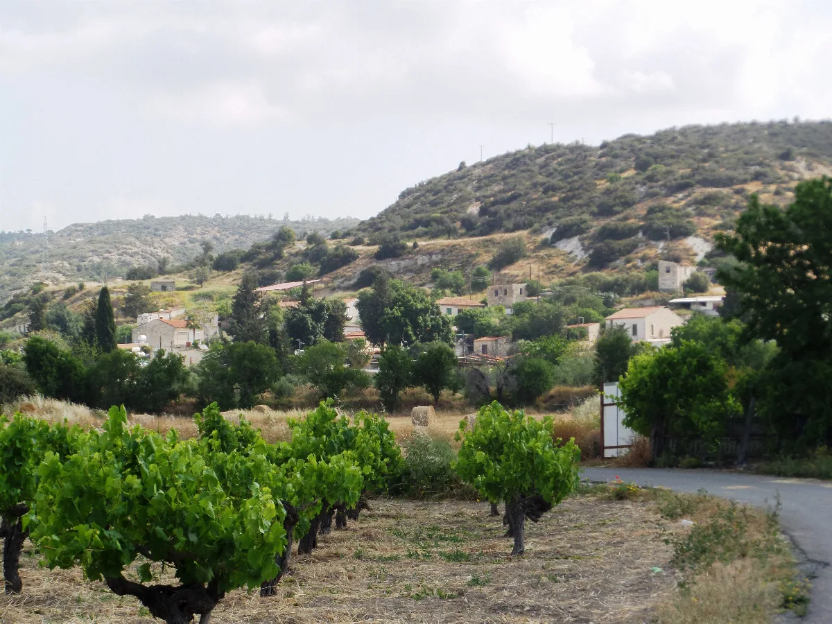 Alectora, Cyprus