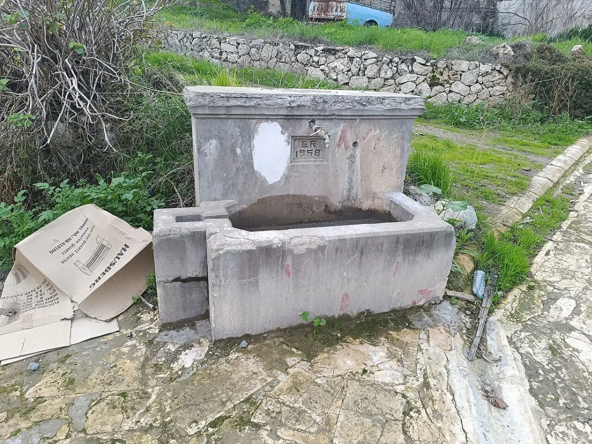 Ampelikou