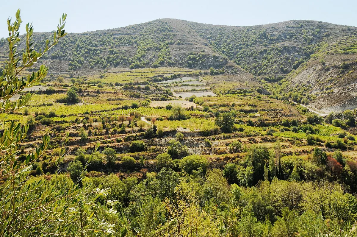 Ayia Mavri Winery