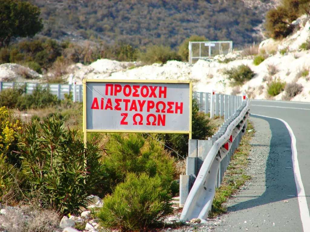 Βασιλικός Οίκος