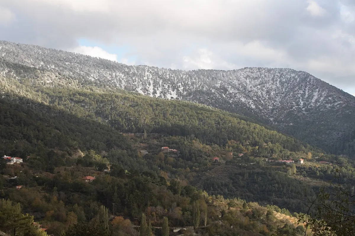 Berengaria Hotel