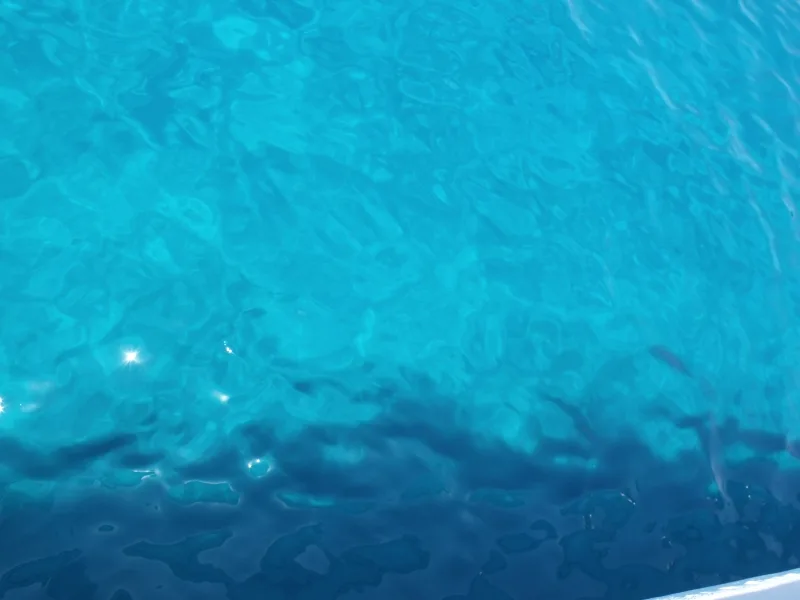 Blue Lagoon