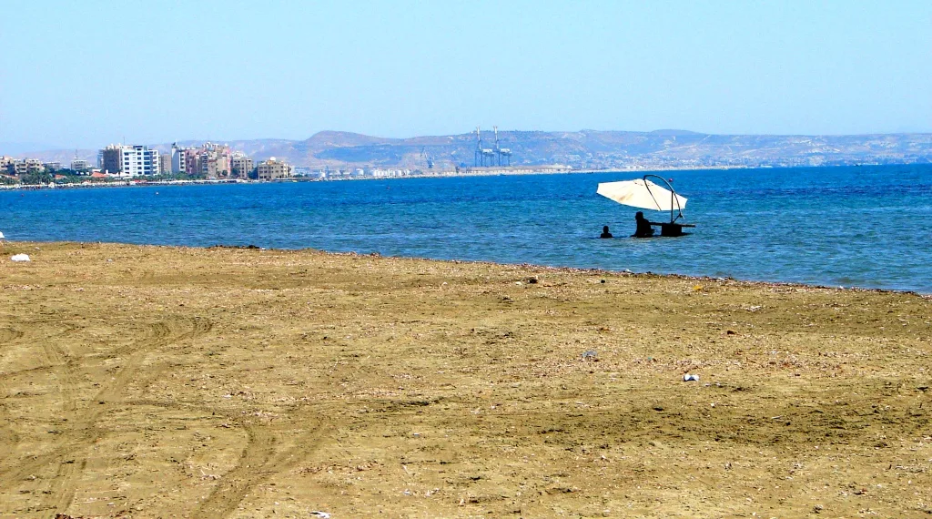 Dog Beach