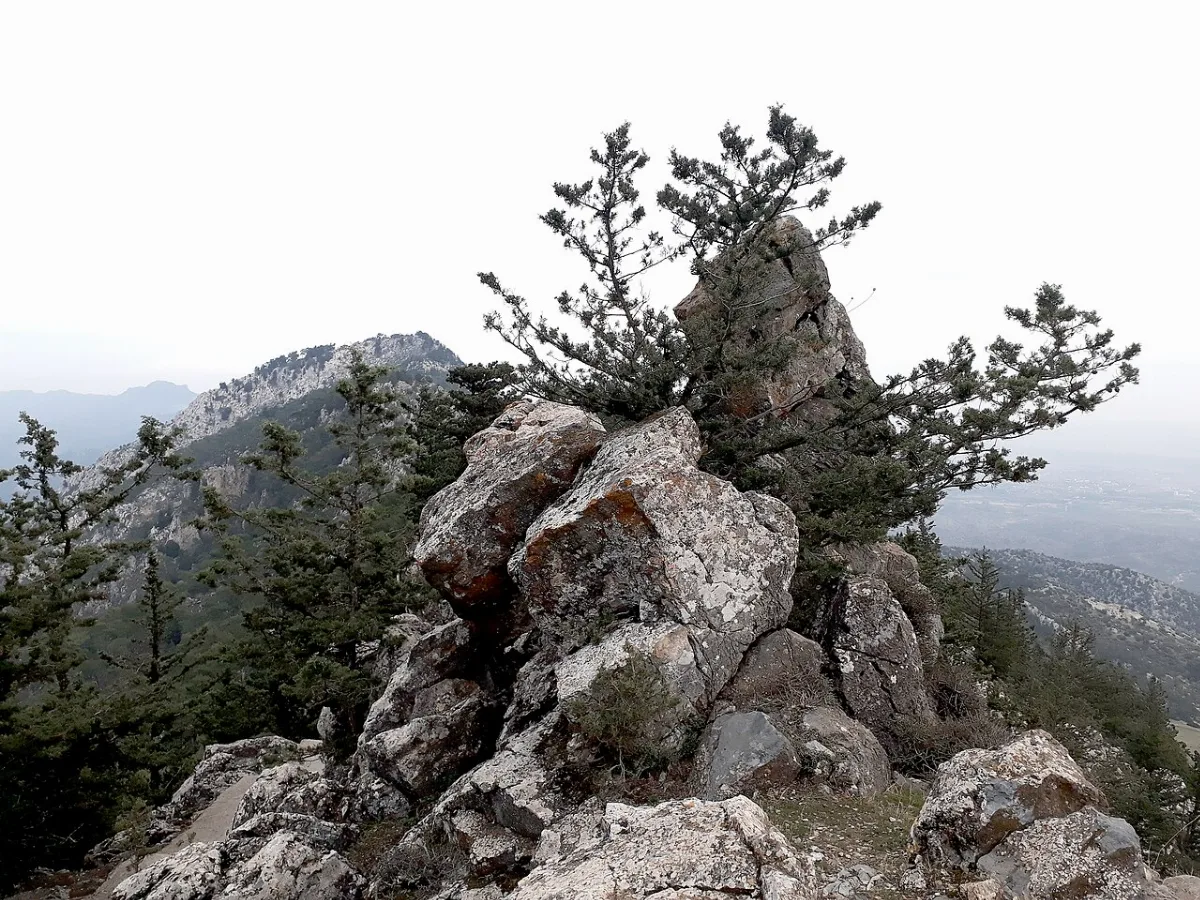 Göl Tepesi