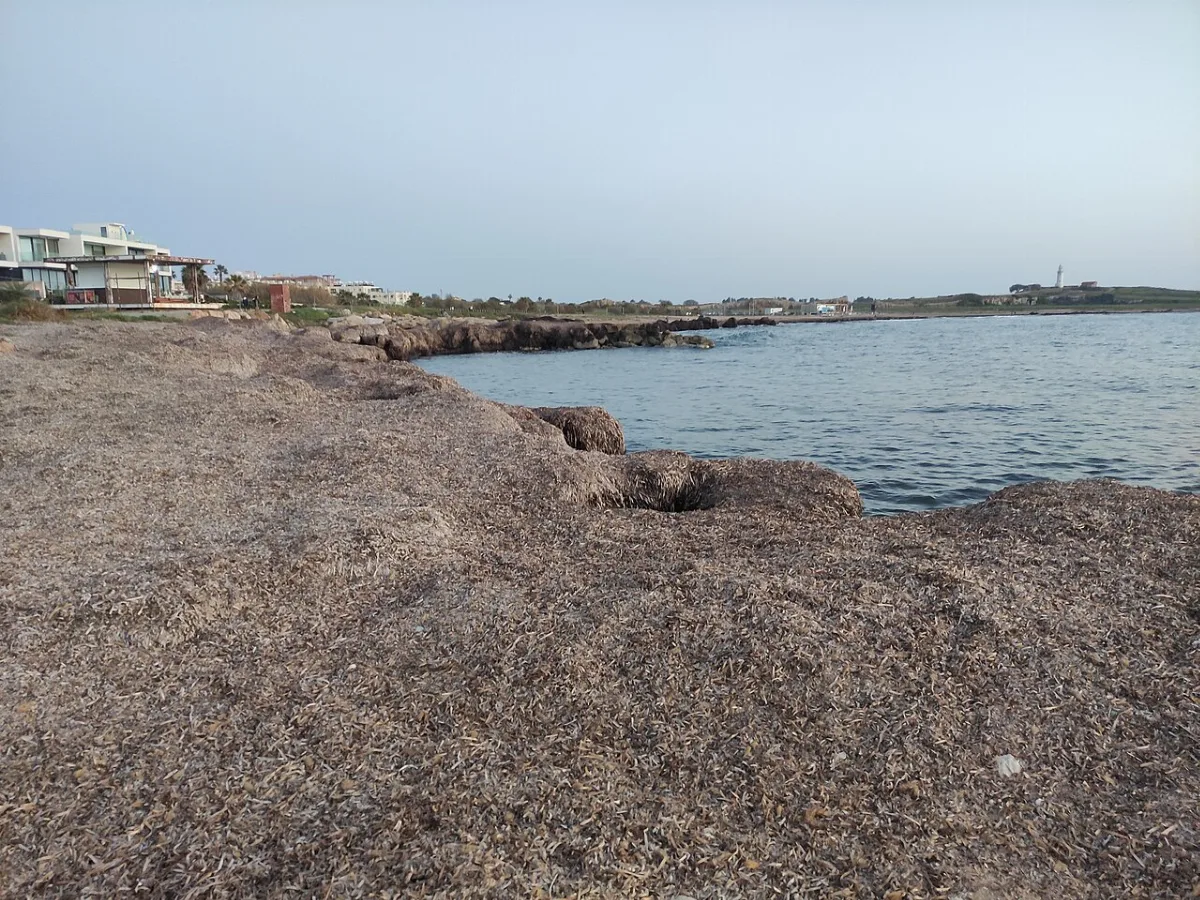 Kefalos Beach