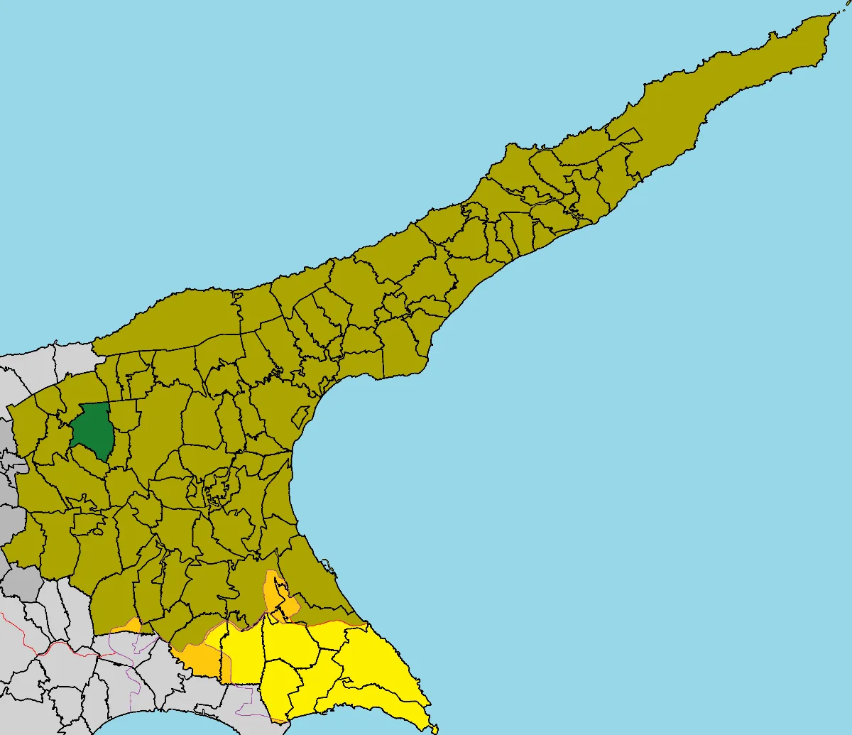 Knodara
