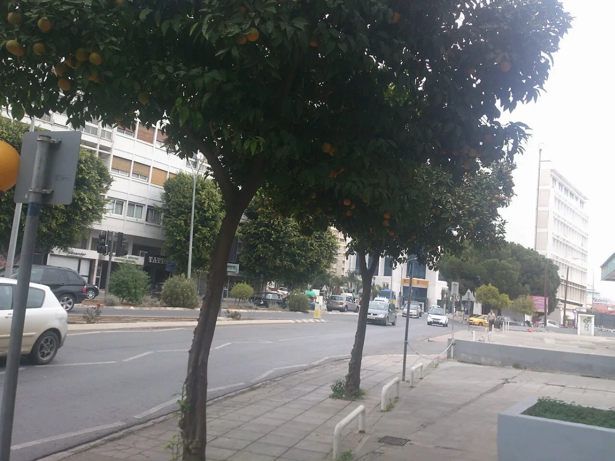 Kyriakides Piano Gallery