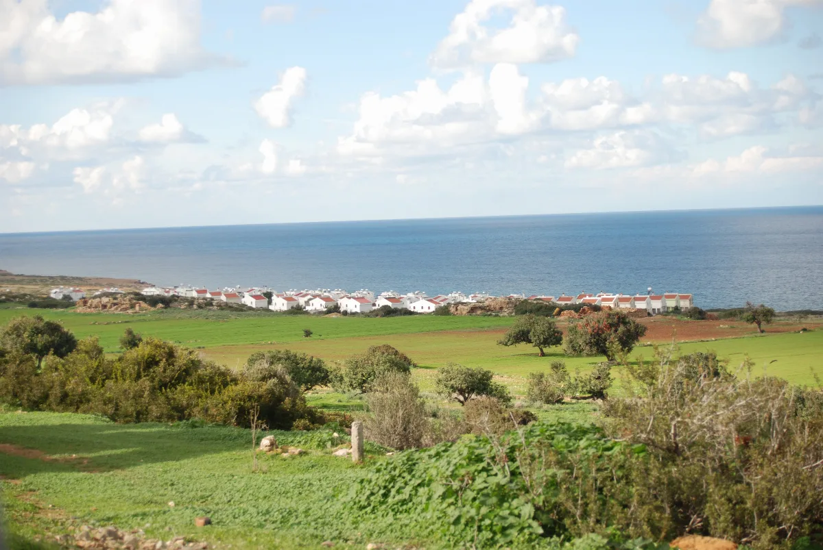 Livera