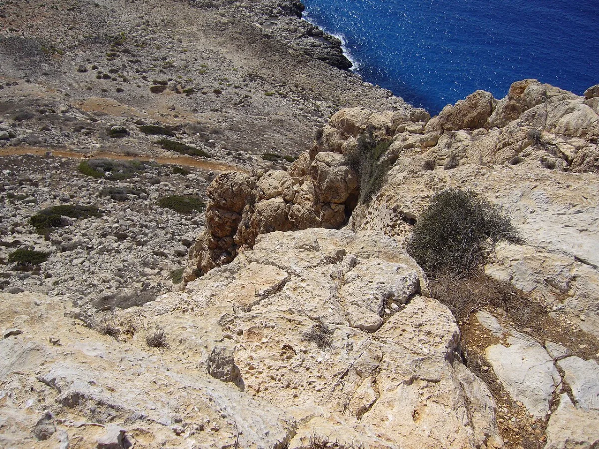 Neophytos Apoullou