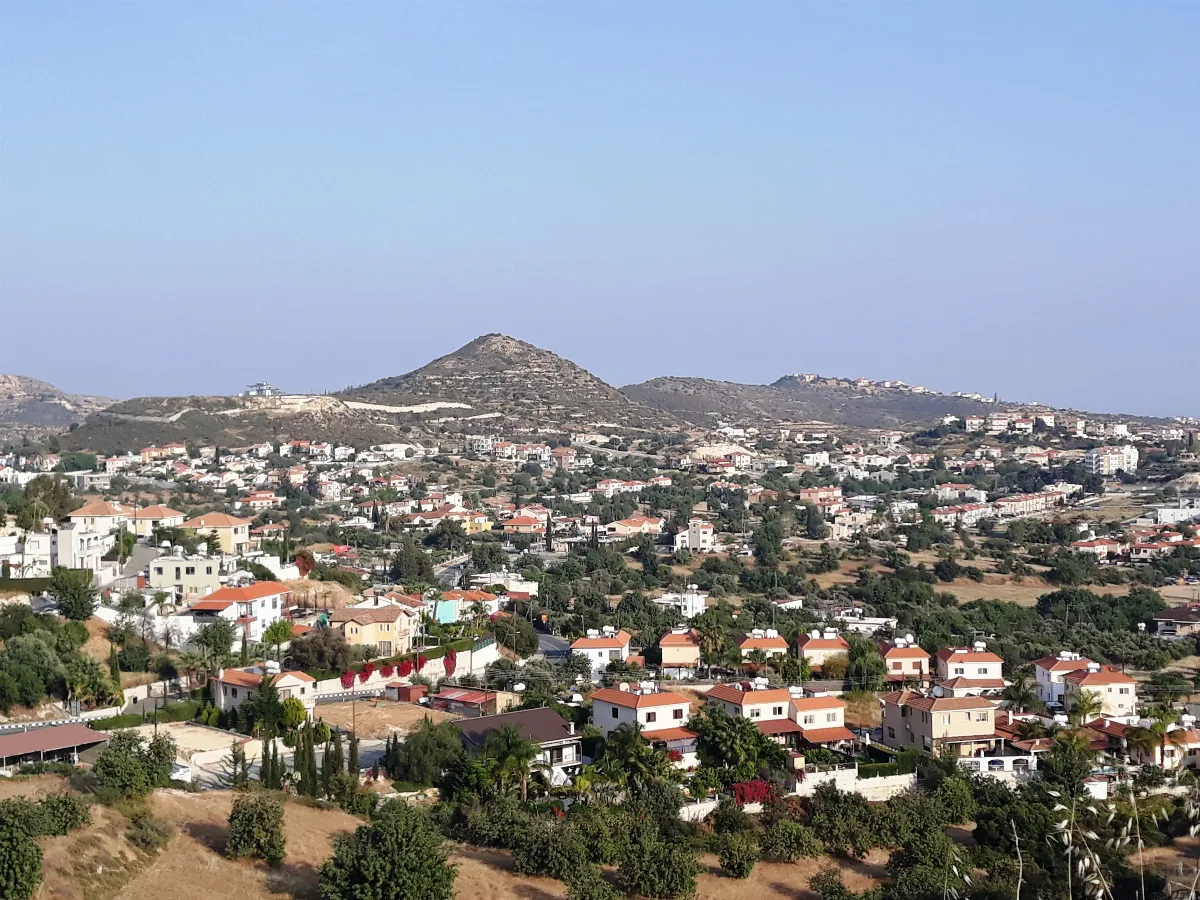 Palodeia