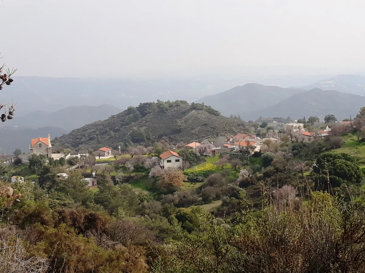 Sanida