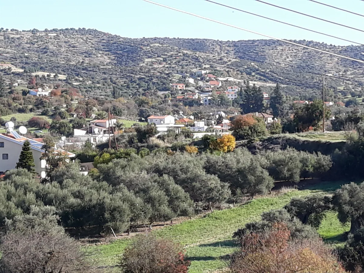 Spitali, Cyprus