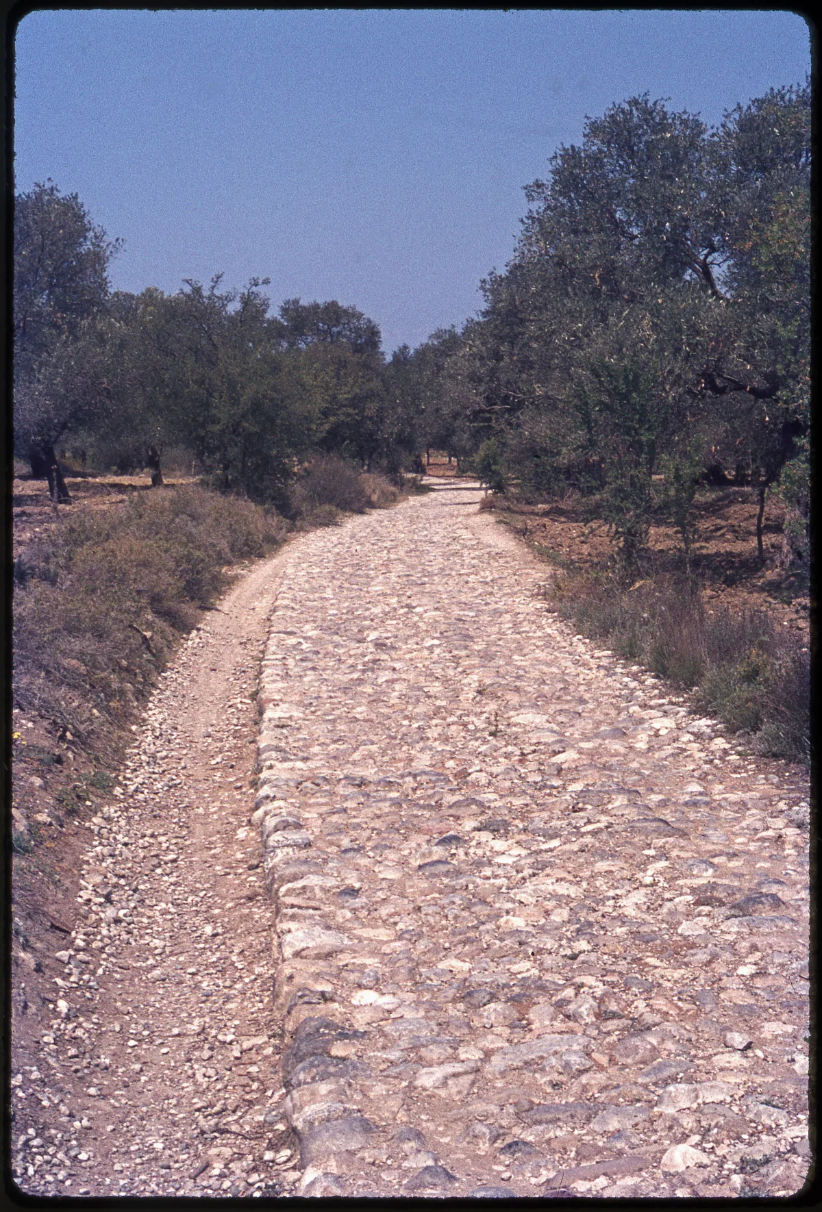 Thermeia