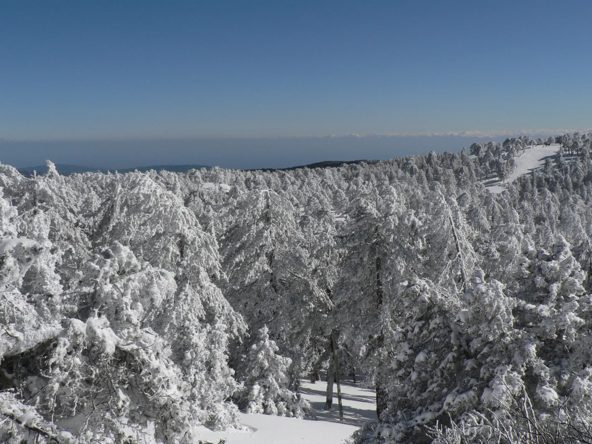 Troodos