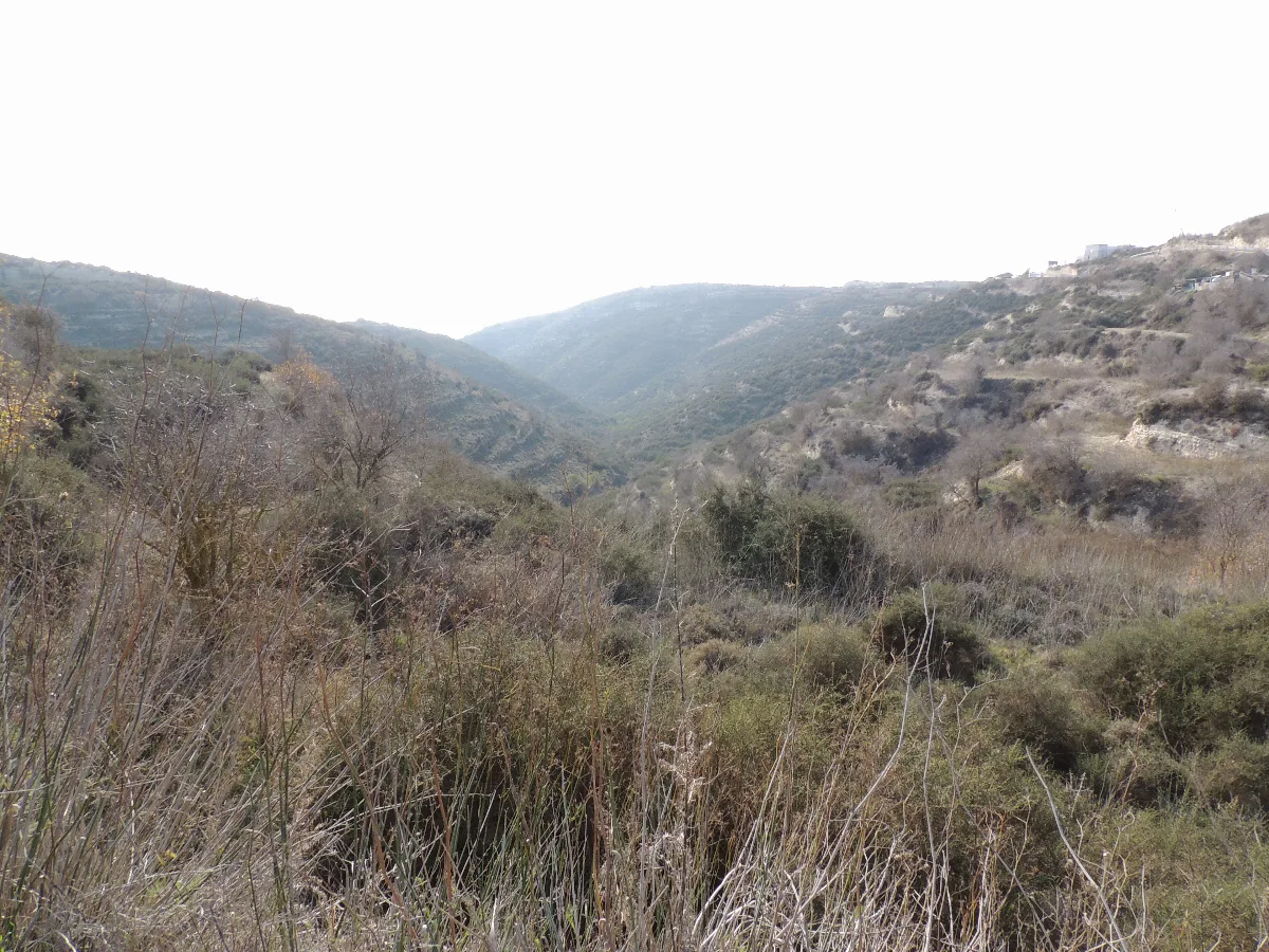 Tsada, Cyprus