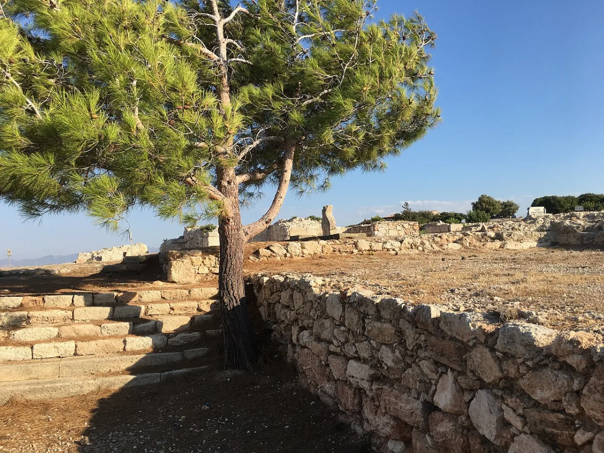 Vouni Palace